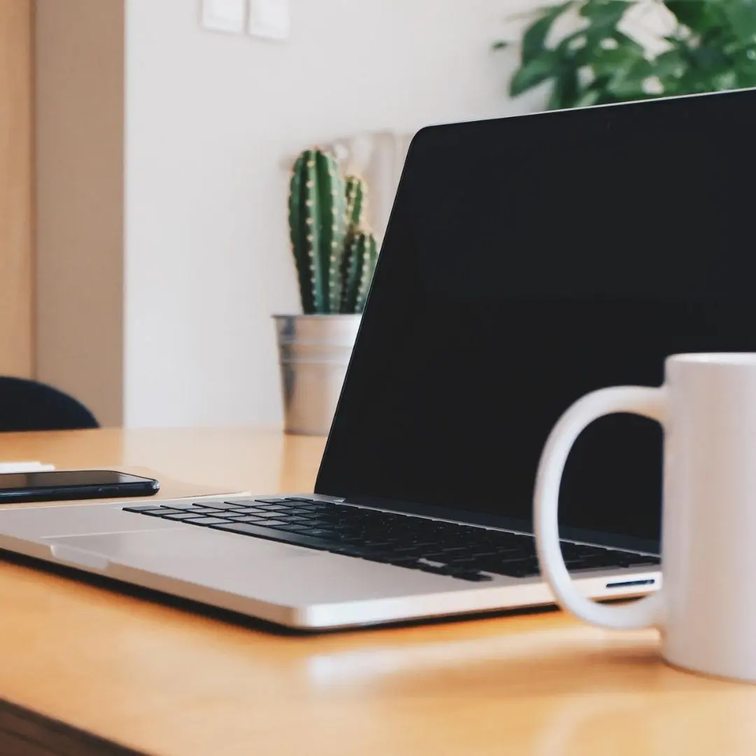 Online tjänster naprapati